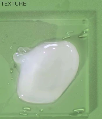 Organic Aloe Vera Gel - Pre-Blended with Purifying Formula for Oily Skin Type