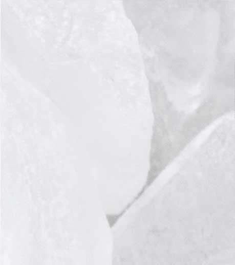 AQUAXYL