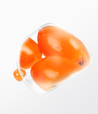 沙棘果