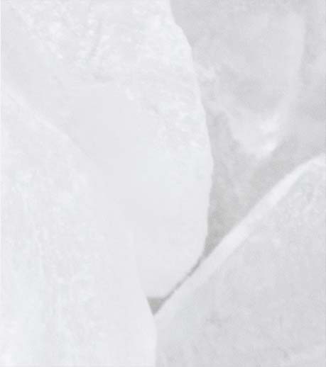 AQUAXYL